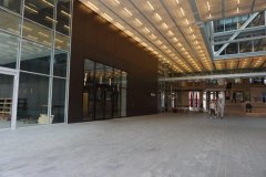 DSC05638
