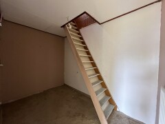 IMG 5542