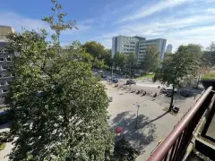 IMG 6388